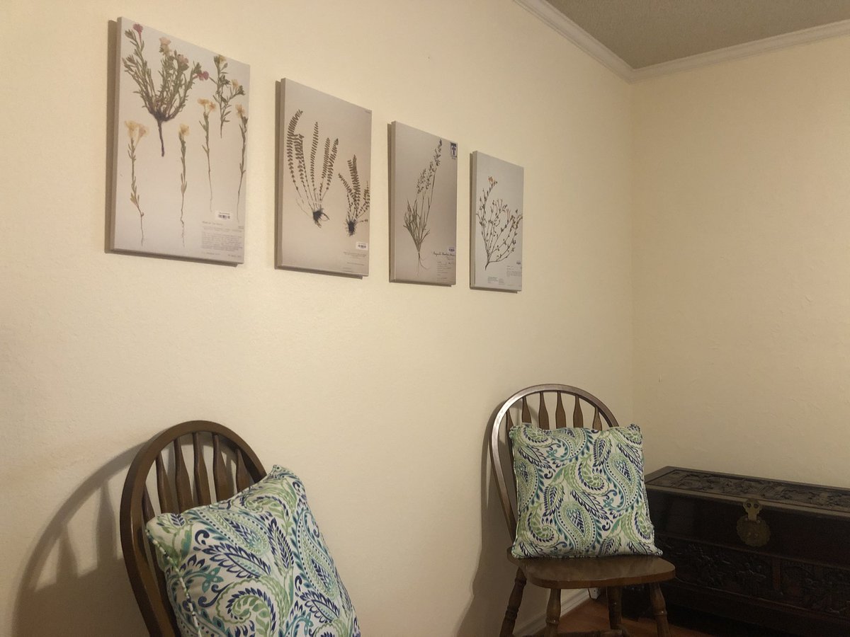 Matt Johnson, PhD tweet media