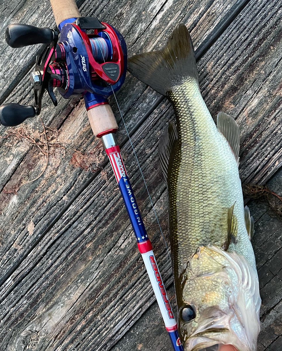 FAAN_910's tweet photo. Had an hour to fish. He hit a @6thsensefishing Speed Wake. Finally caught a bass on my @favoritefishing Defender rod and reel that I won in the New Years giveaway. https://t.co/1RpmICpwNS