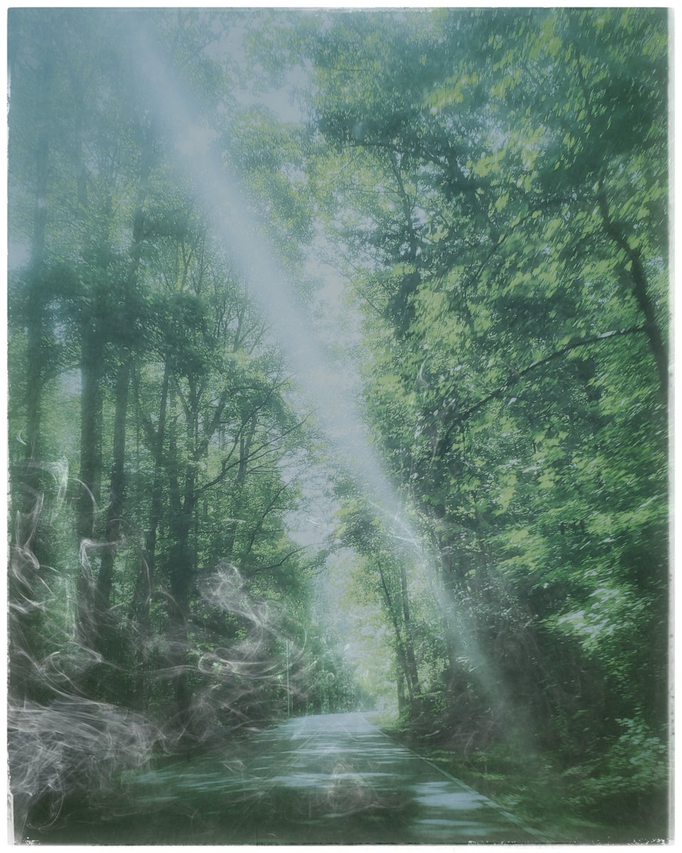 _ccammons's tweet photo. Morning on a pathway.
The first in the odd/even series. This one is minted on Tezos.
#nft #tezos #nftphotography #cryptophoto
https://t.co/Zv9kgRWGIk https://t.co/264Z7ggiZ7