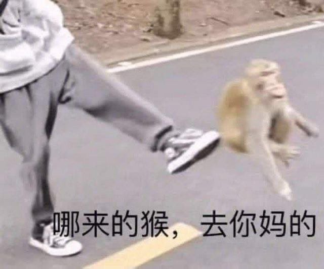 azhounofriend's tweet photo. 還在嘴臭的 期待哪天業力反饋到自家身上哈🤡 https://t.co/bqwgImq6Tq