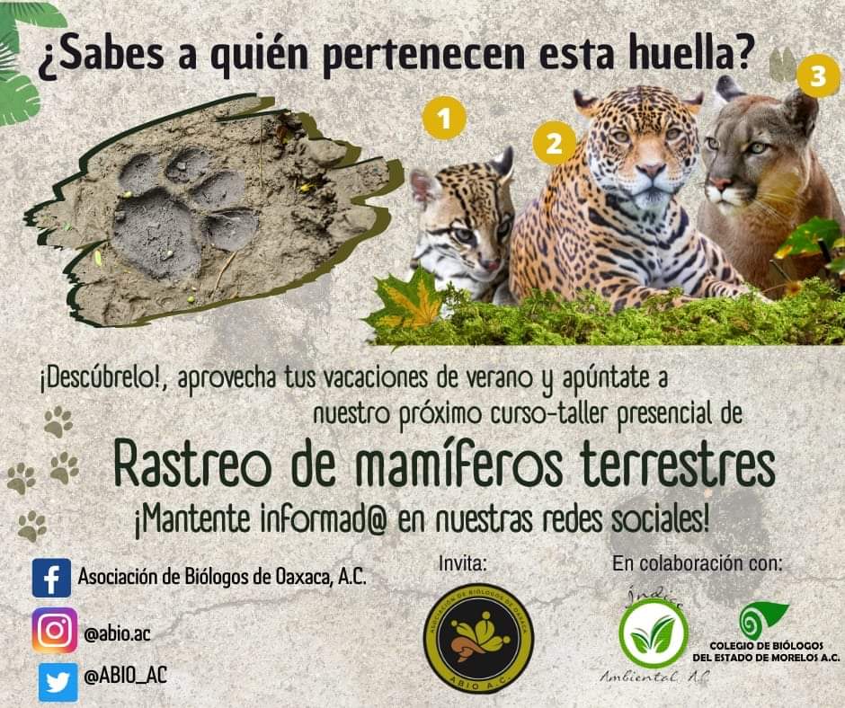 Taller de rastreo de mamíferos terrestres, muy pronto!  #rasterodemamiferos #Oaxaca #abioac #biologosdeoaxaca
