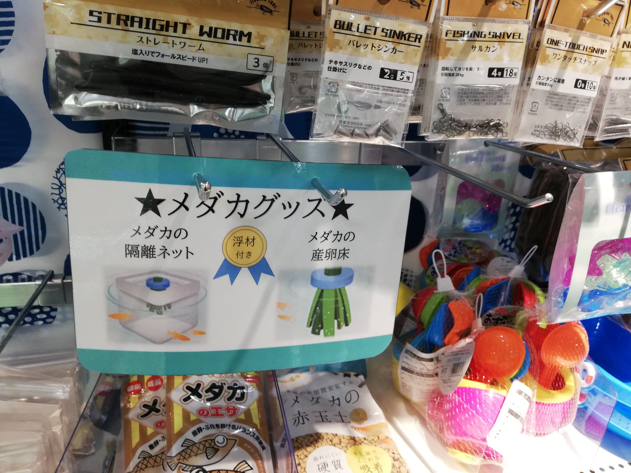 花とパンダメダカっ やっぱりスポンジの産卵床には卵が付かない キャンドゥにチュールの産卵用ネットを買いに来たら メダカ用品は全部売り切れ ダイソーにもなかった 明日は足を伸ばしてセリアに行ってみよう メダカ 注目度高し T Co