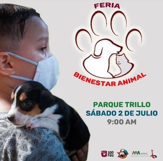 Jeiller Carmona Brito tweet media