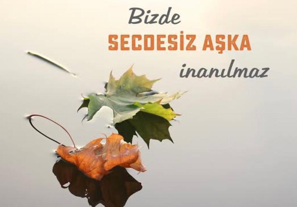 Adnan Ağır (@adnanagir50) on Twitter photo 