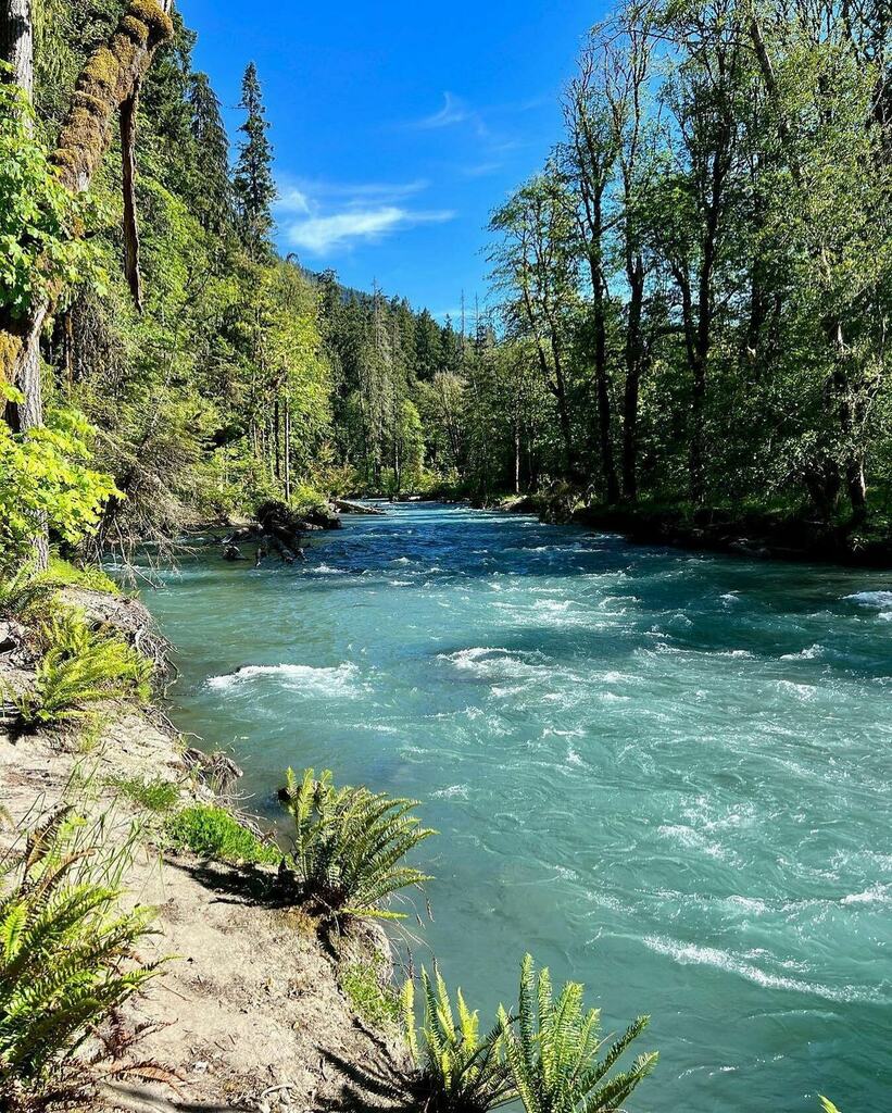 Elwha adventures with @wildportangeles ✌️

#VisitPortAngeles #OlympicNationalPark instagr.am/p/CfflyuGLILK/