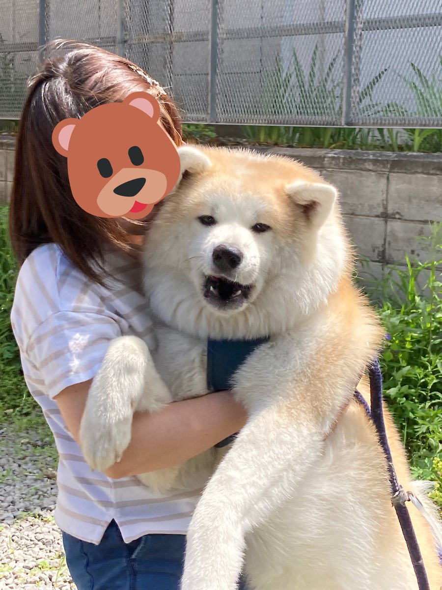 犬さん 専用ページ | velitti.it