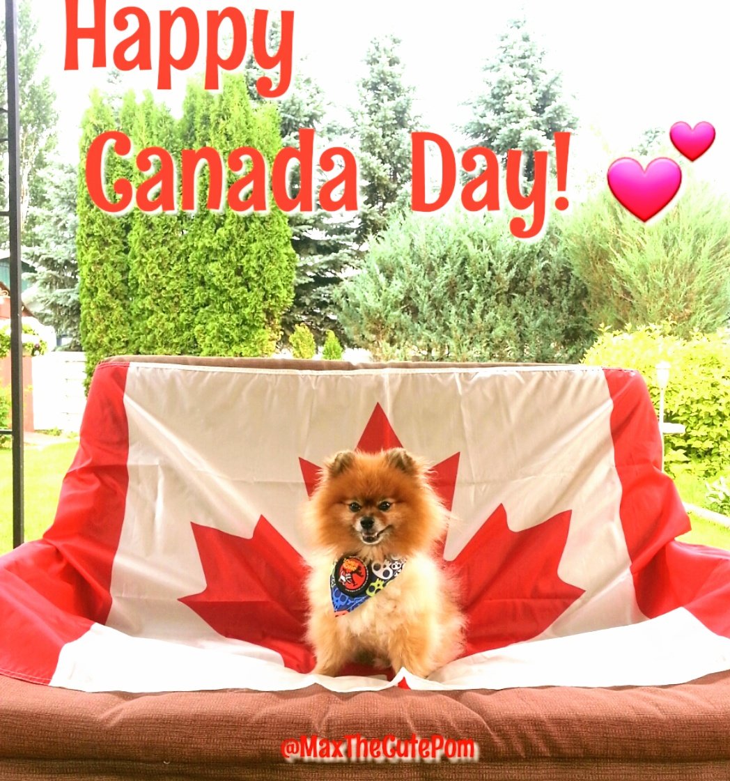 Wishing all #Canadians #Fromcoasttocoasttocoast A #HappyCanadaDay🇨🇦 Hugs 💕 #MissmyMax