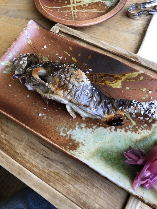 今日はイワナ食べに来まんたʕ•ᴥ•ʔ-3 