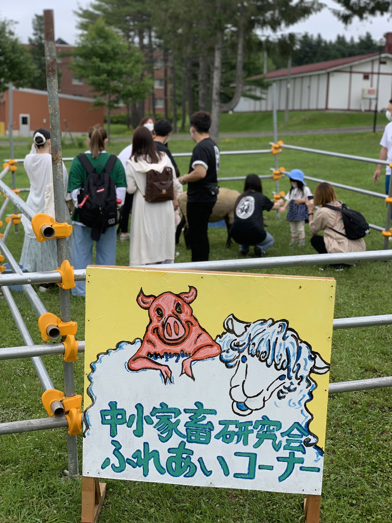 酪農学園大学 公式 中小家畜研究会 ひつじ サホーク 酪農学園大学 白樺祭 T Co 8teqdpby6u Twitter