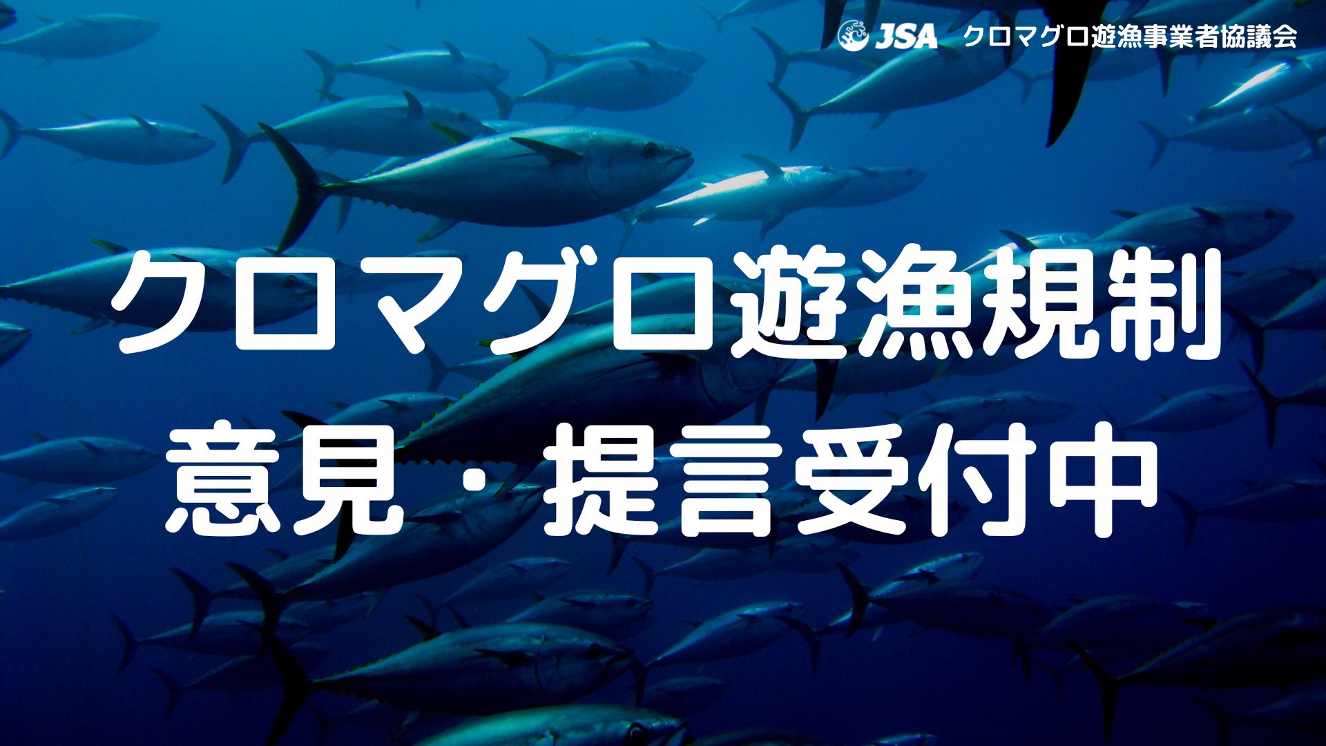 公式 一般社団法人日本スポーツフィッシング協会 クロマグロ遊漁規制について意見 提言はありませんか 当会の政策提言の参考にすると共に 受付内容は原則全て取りまとめの上 国に届けます また レポートとして一般公開しシンポジウムも開催します