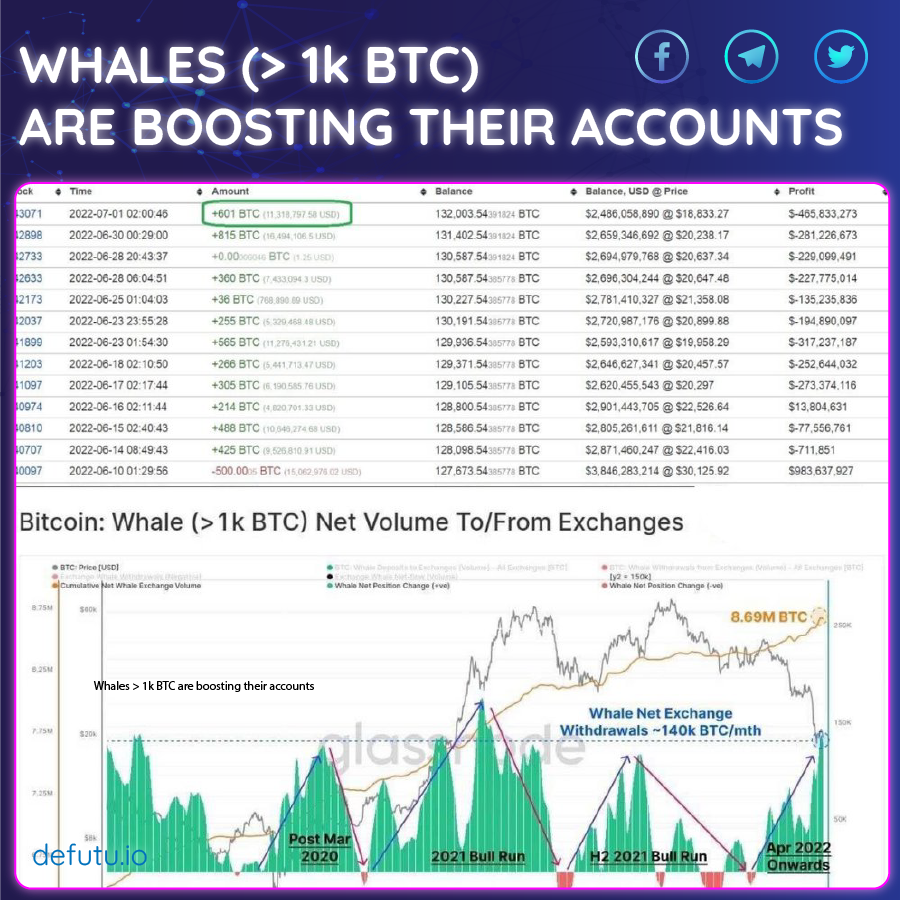 defutu_io's tweet photo. Bitcoin Whales The largest is increasingly actively accumulating at low prices, averaging 50-100 BTC per day. Today, the third largest #Bitcoin address bought another 601 BTC 🔥
Whales currently own $8.69 million in #BTC (about 45.6% of the supply). https://t.co/pIr0HnYEOy