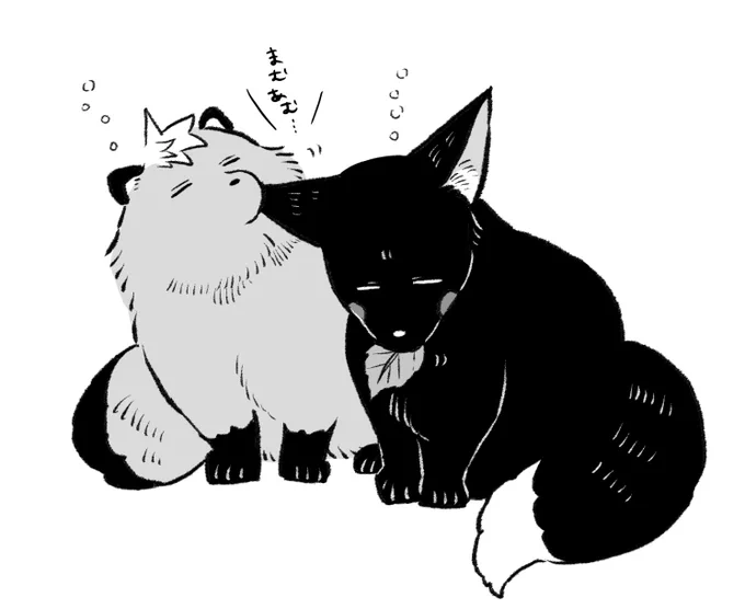 既視感 