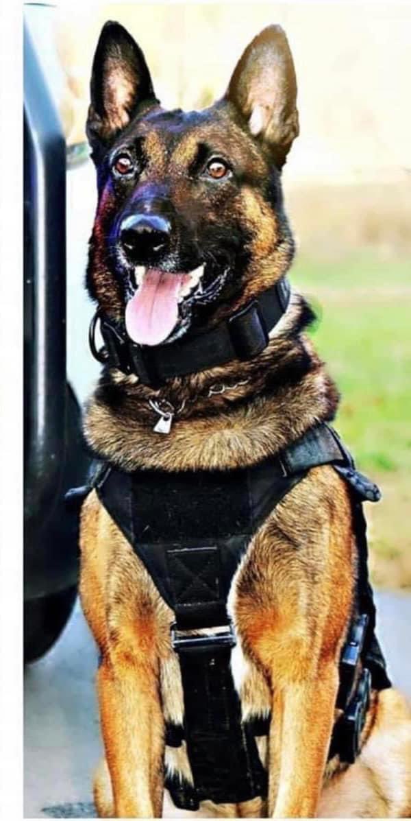 Kayla Moody tweet media