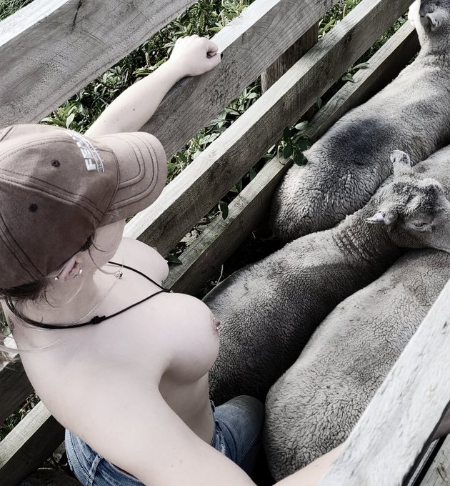 farmgirllacy