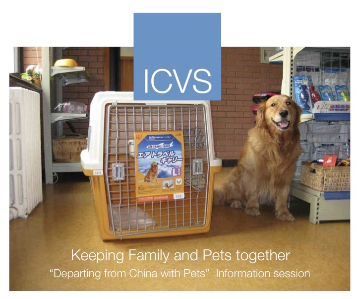 ICVS Animal Hospital tweet media