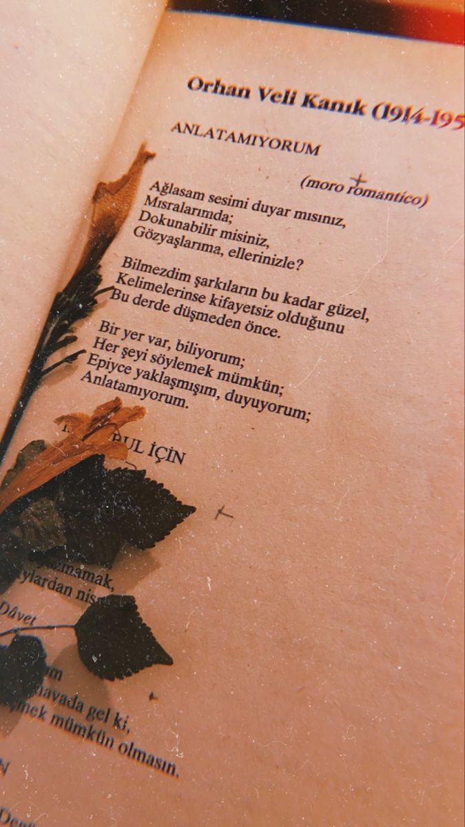 1Venusunkedisi's tweet photo. Anlatamıyorum... https://t.co/mkkOaBYFAD