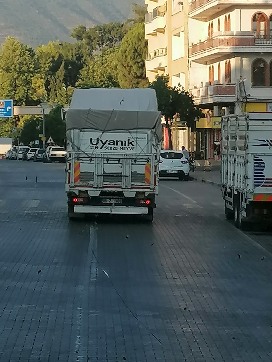 nocontext_AG's tweet photo. Günaydın, Naber? https://t.co/gjJkaStvDR