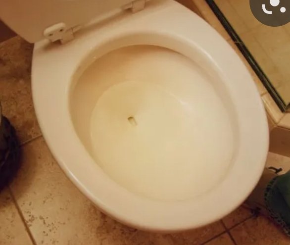 SGawgs's tweet photo. @stoolpresidente Joke toilet...just for farts https://t.co/KEwQktORVy