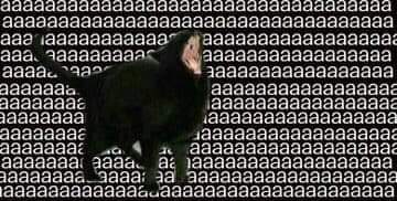 AAAAAAAAAAAAAAAAAAAAAAAAAAAAA
