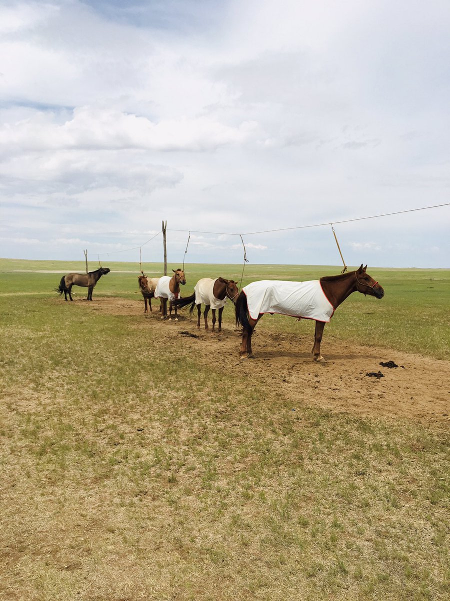 batzolboo (@batuet) on Twitter photo 