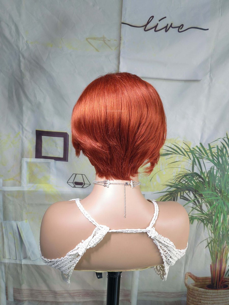 IseeHair's tweet photo. New Arrival😍😘🔥 What you see is what you will get!
Hair: Ginger Orange Straight Pixie Haircut 13*4 Bob Lace Wig
Use Code: JF7 for an Extra 7$ OFF🙌🏾
Comment Get Hair Link✅

#iseehairbeauties #iseewigs #iseeprincess #straight #pixie #pixiecuts #pixiecutstyle #haircolors #ginger https://t.co/ih1aM7qFiG