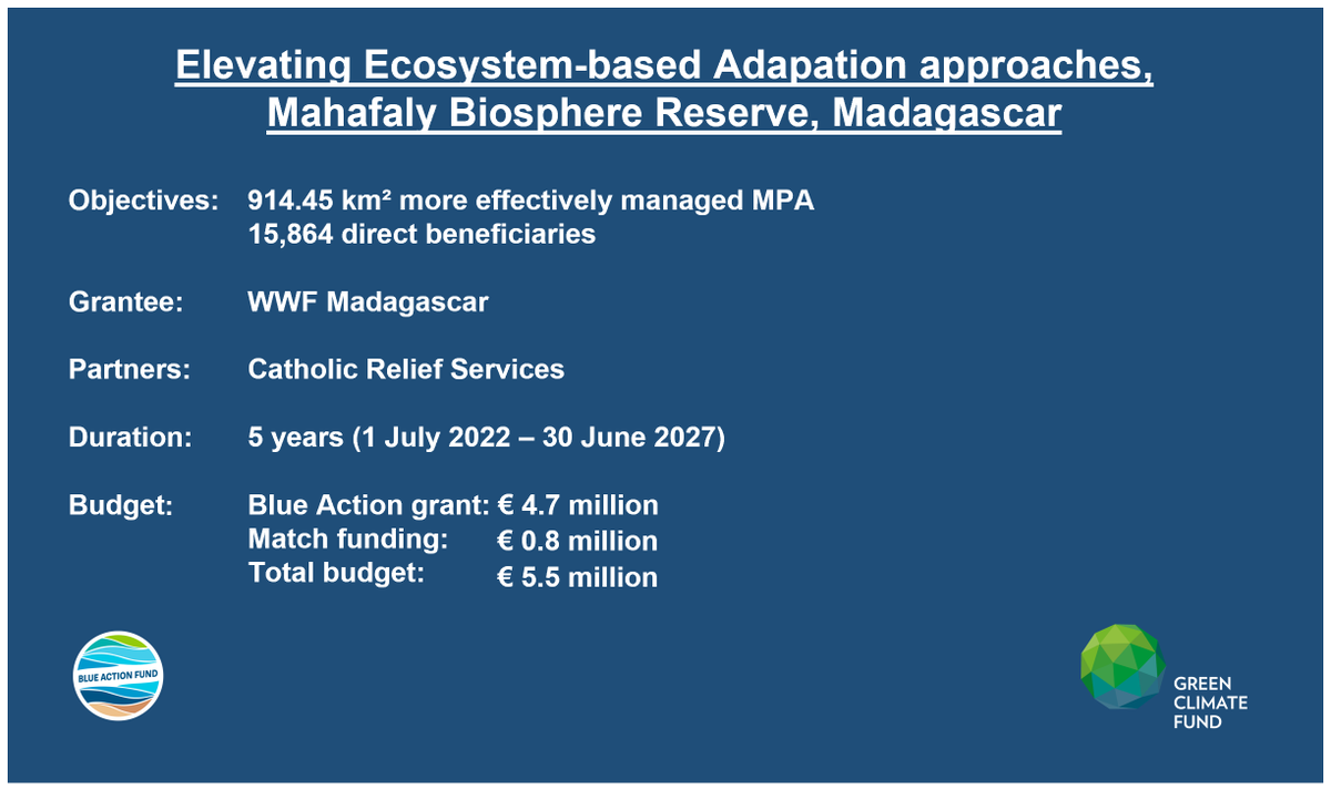 WWF Madagascar tweet media