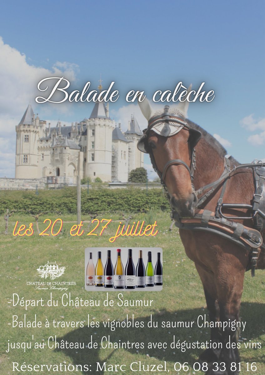 Château de Chaintres tweet media