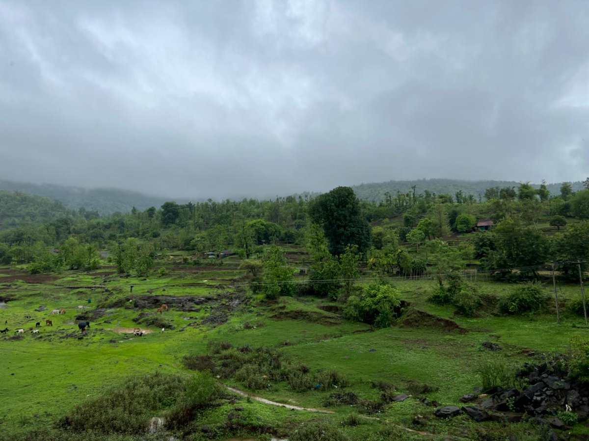 SDMDharampur's tweet photo. This monsoon don't miss to visit the various scenic spots of Dharampur and Kaprada in Valsad district ;this is also the northern tip of sahyadri range
#ValsadTourism
@InfoValsadGoG
@collectorvalsad 
@hareets
@AlokPandey_IAS
@GujaratTourism 
@CMOGuj https://t.co/1OVwPVunxN
