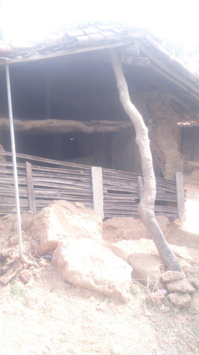 संजय राऊत tweet media