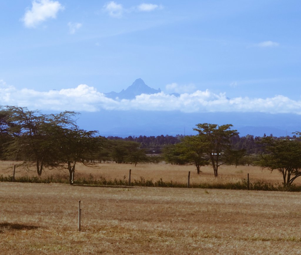 GitzBlitz's tweet photo. Mt Kenya ⛰️ viewed from #soames https://t.co/oQ2XD41Gfi