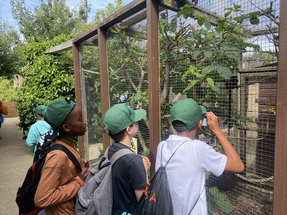GRPAHawthorn's tweet photo. Year 6 visited lots of animals at Amazon world today! #amazonworld https://t.co/11FTSFbF9x