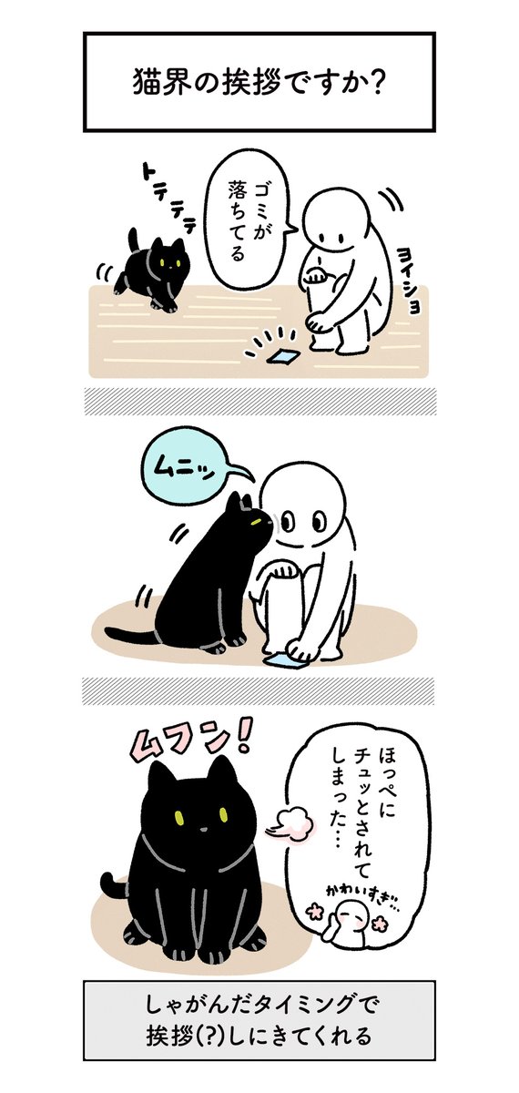 しゃがんだ瞬間ねこが駆け寄ってきてほっぺたにチュッとしてくれてホワ〜となった絵日記と、褒められたかったのか連続で芸をお披露目してくれてホワ〜となった絵日記(3まいある) #ろんの絵日記 