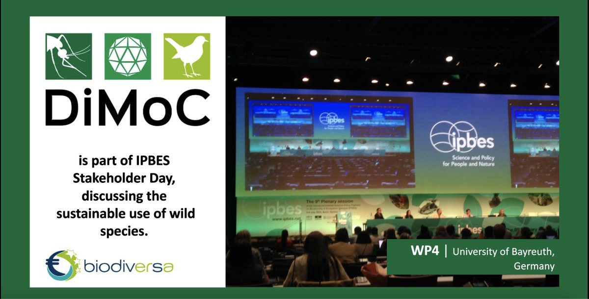 DiMoC (@dimoc11) on Twitter photo The sustainable use of wild species is important to maintaining healthy populations and in turn also human health will be positively affected. Members of the #DiMoC Project funded by <a href="/BiodivERsA3/">BiodivERsA3</a> participate in todays #IPBESstakeholder Day. The sustainable use of wild species is important to maintaining healthy populations and in turn also human health will be positively affected. Members of the #DiMoC Project funded by <a href="/BiodivERsA3/">BiodivERsA3</a> participate in todays #IPBESstakeholder Day.