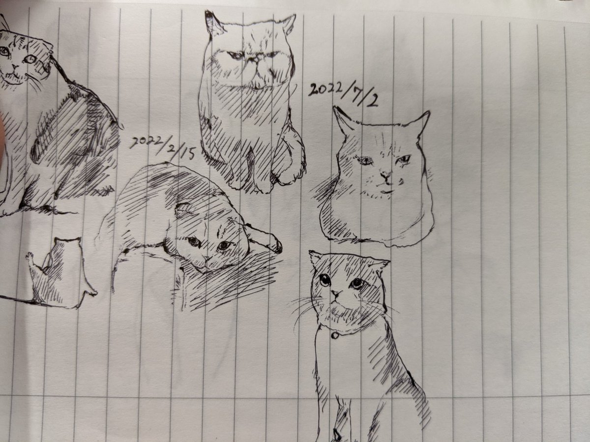 夏バテでごわす カキカキ。 