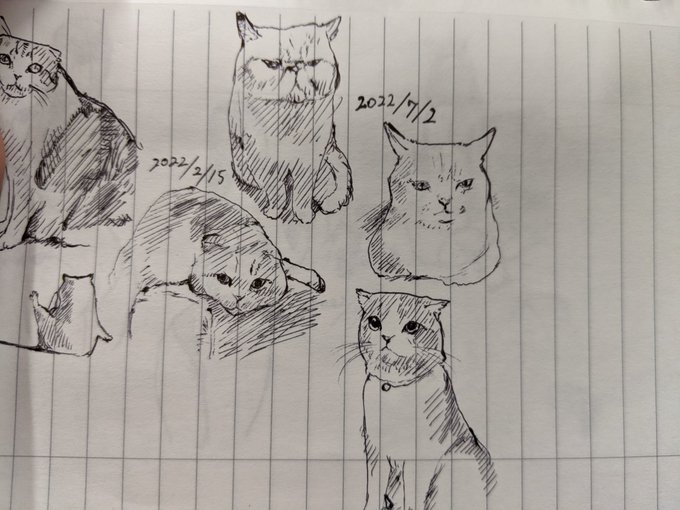 夏バテでごわす カキカキ。 