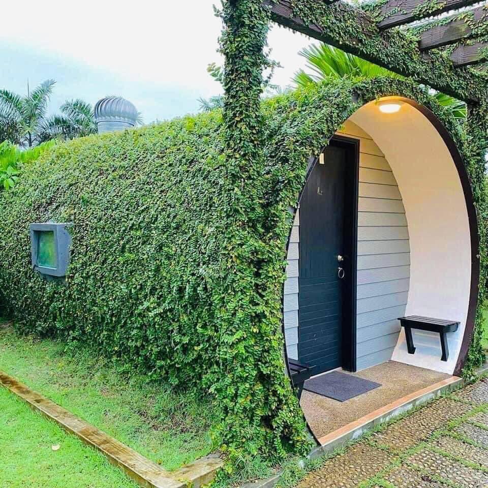 Cuti2KakiTravel's tweet photo. Bagi yang suka nature boleh plan stay sini. Tempat cantik. Banyak aktiviti boleh buat. Swimming, paddle boat dan lain-lain lagi. 

📍 Green Valley Eco Resort, Ulu Tiram, Johor https://t.co/bJpschCIh9