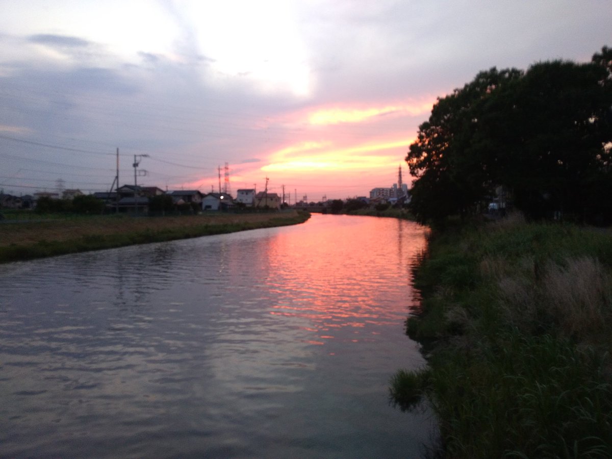 no5sWUx080UVMgw's tweet photo. 杉戸町、古利根川の橋の上、東武動物公園駅の西口からの夕暮れ時です。夏の始まり、夕方は少し涼しいです。
#sunset_time #summer_evening #happy #good_evening
https://t.co/hZ4MVWZ27i https://t.co/FoDRPKGJEe
