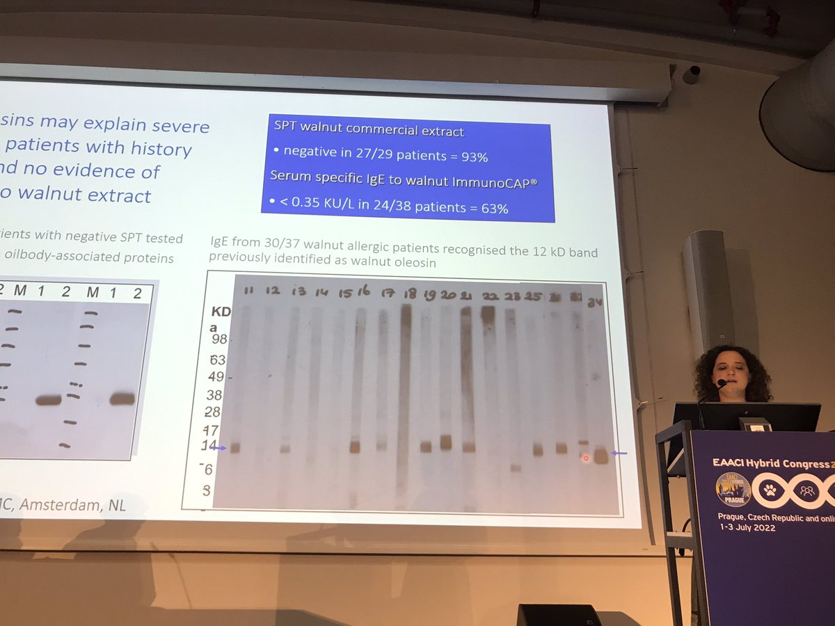 @alex_fsantos on the role of Oleosins in the diagnostic work-up with a history of walnut #allergy with negative SPT. Updates on #MolecularAllergology at #eaaci_2022