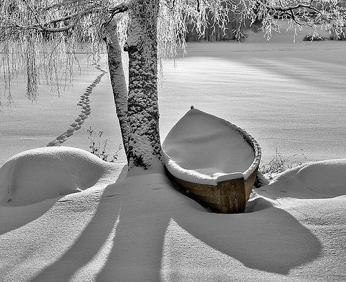 Snow Covered Lake, Stevens Point, Wisconsin #SnowCoveredLake #StevensPoint #Wisconsin cameronnash.com