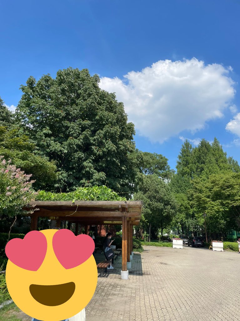 야구장 주차장 뒷 편에 있어요
이쪽으로 오세요 🐻
