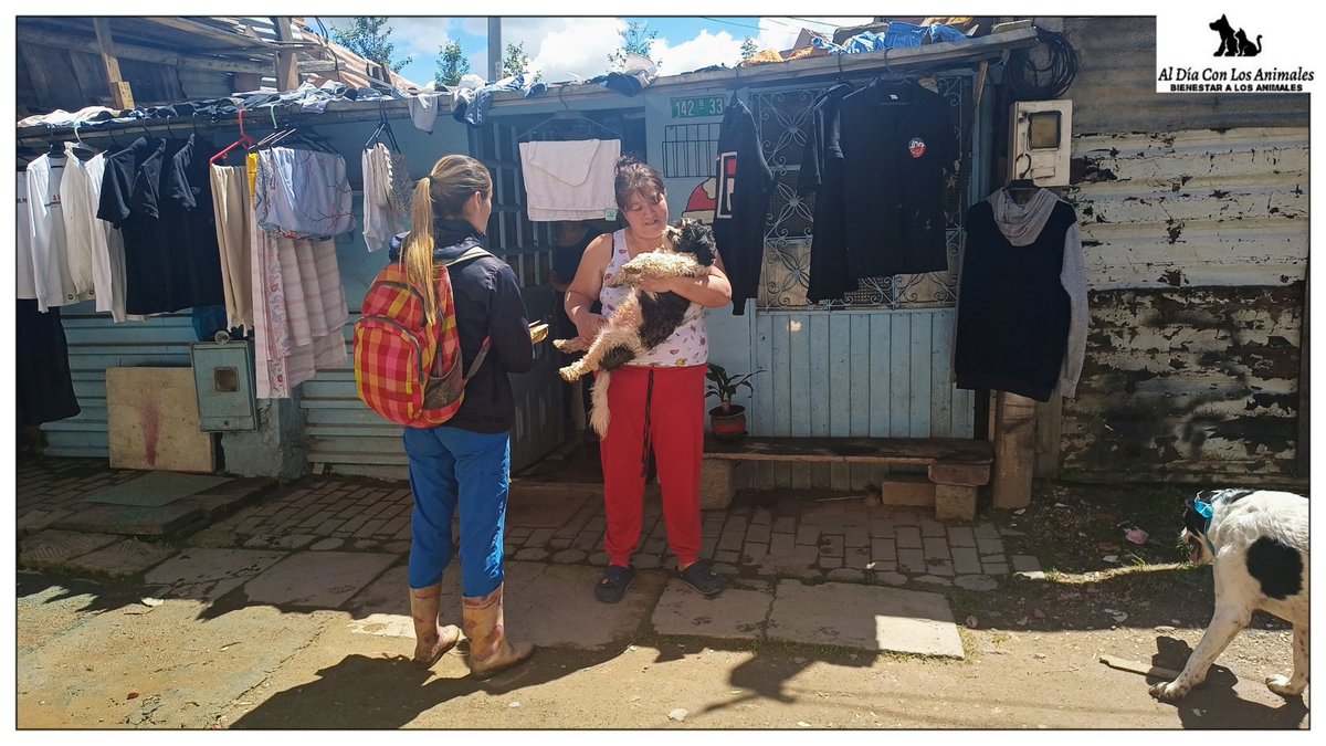 DiaAnimales's tweet photo. RT (HILO...⬆️) para la #Esterilización - #EsterilizarSalva que se estará realizando los próximos días en la #LocalidadDeSuba 👏. 

Estuvimos con @HogarAnimalista, @PilarOrjuela7 y @carlospopular en varios sectores que quedan a ahorillas del #Río #Bogotá de #Suba RT 🐾. https://t.co/dToVMSemsB