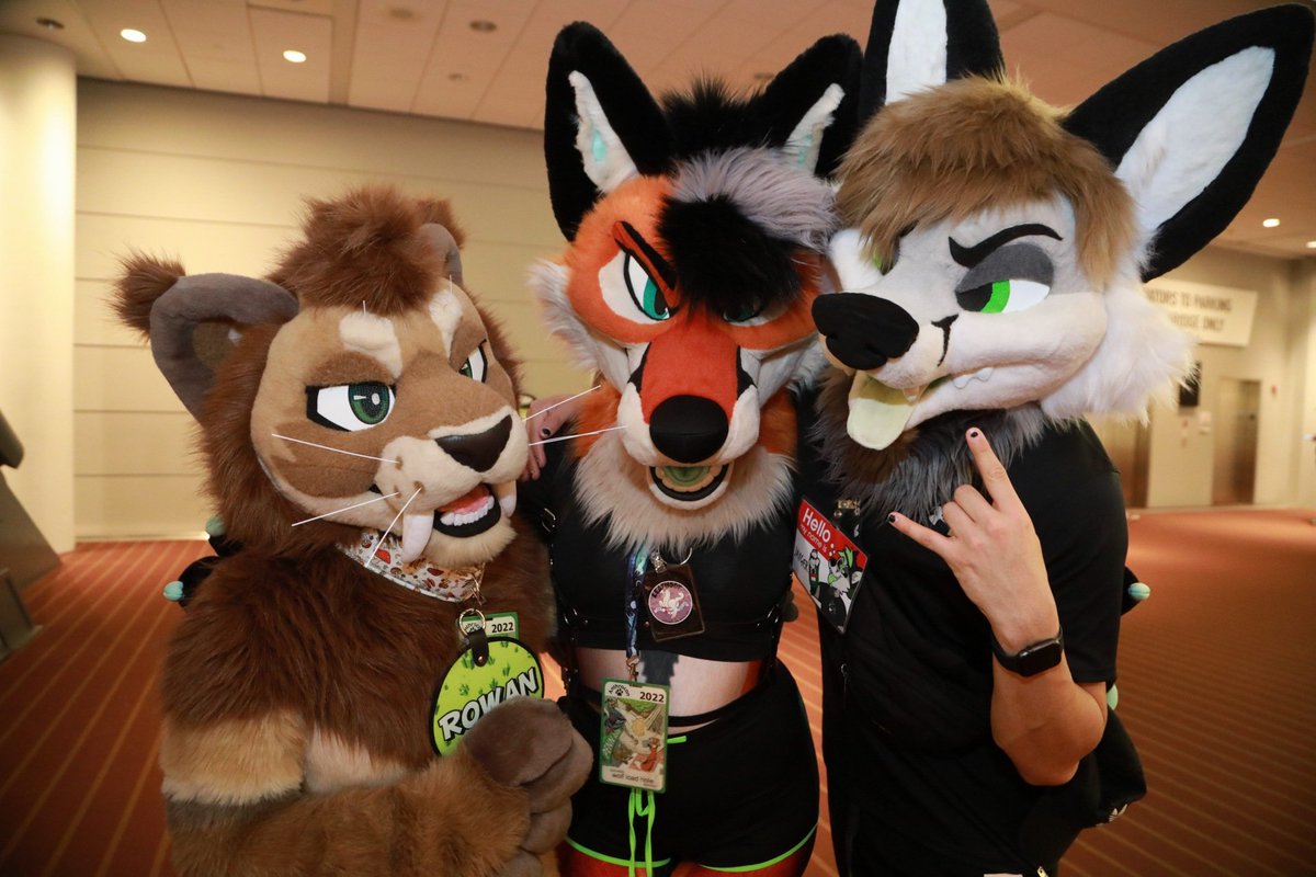Alysterwolf's tweet photo. Too grumpy
@butt_tufts @jayfoxcat @wildsabercat https://t.co/E1nzeJ9TG8