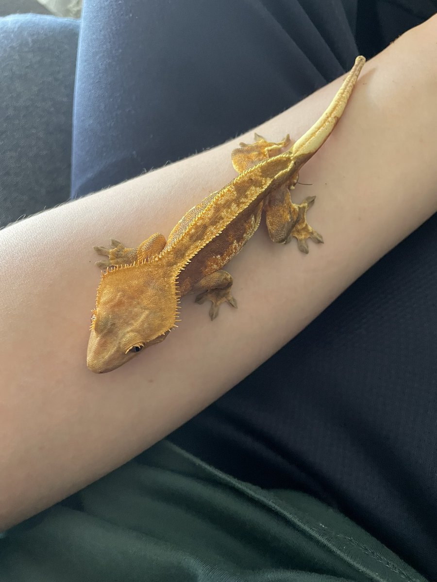 おうどん Highlights Comments And More Analytics User Detail Edayfm