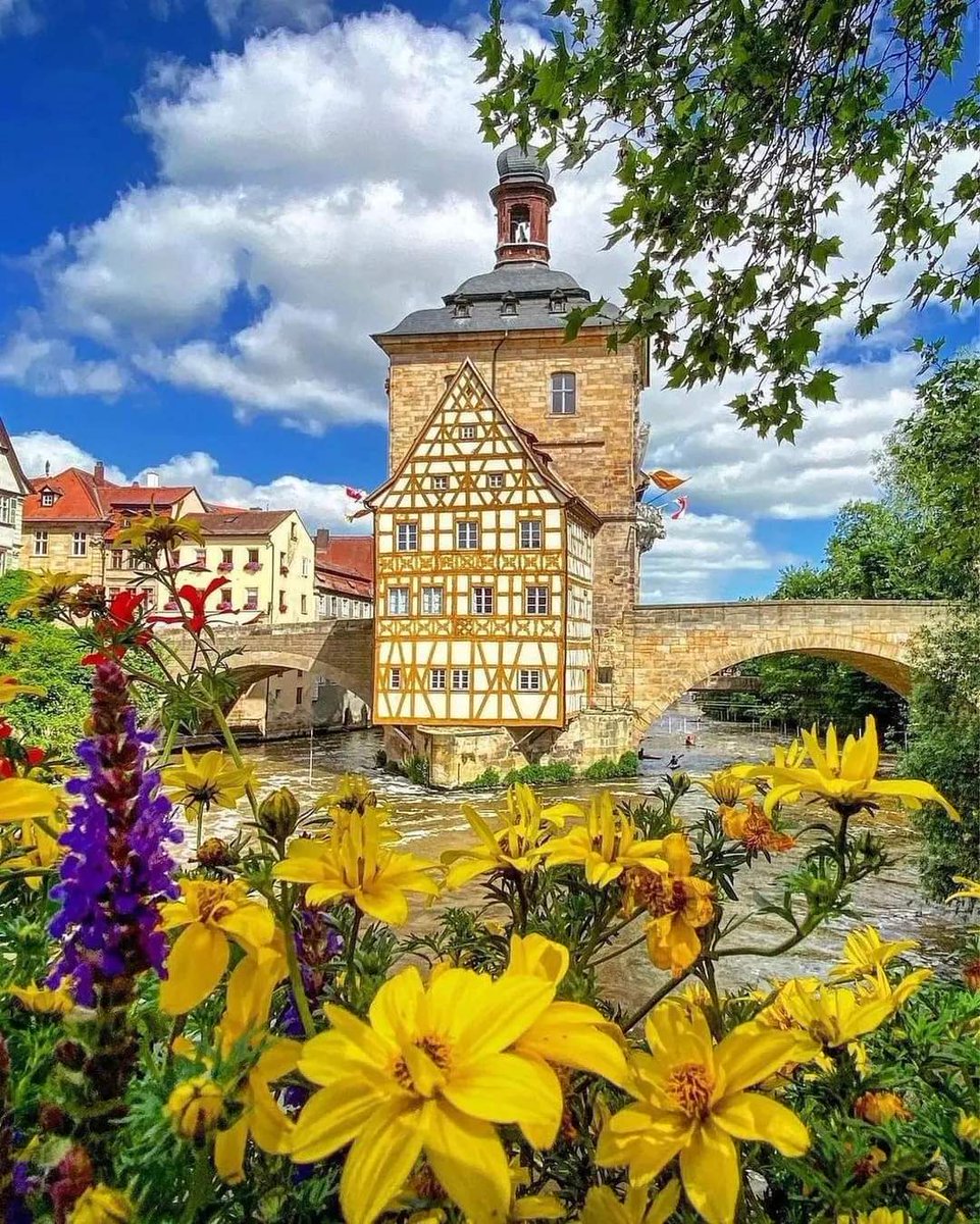ReneChampion1's tweet photo. Germany https://t.co/wUqlPts9GF