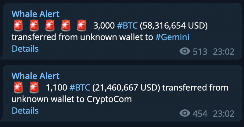 gainmersbr's tweet photo. LÁ VAMOS NÓS! $BTC #recession #cryptocurrencies https://t.co/FjNiCZjD1t