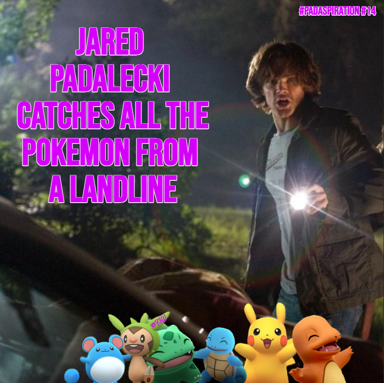 Franki3W's tweet photo. #PadaSpiration #14
#JaredPadalecki catches all the Pokemon from a landline.
#Walker #WalkerFamily #WeLoveYouJaredPadalecki #SPNFamily #Inspiration @jarpad #PadaMon #Pokemon #PokemonGo #SuperPokemon #JaredMakesUsSmile #PadAwesome #PadaPower #Landline #PokeNatural #AminoApps https://t.co/0MgNCJ08bZ