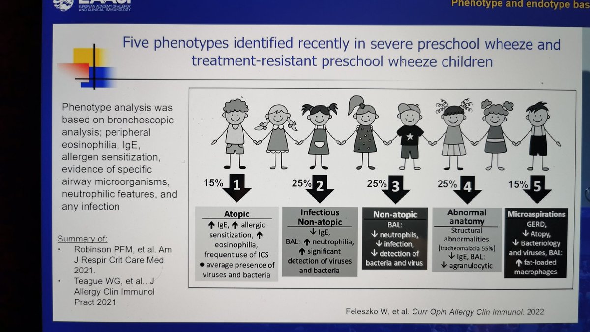 bnrjt07's tweet photo. What a fantastic slide - phenotype of #asthma #eaaci2022 https://t.co/FrpjuQ4x7z