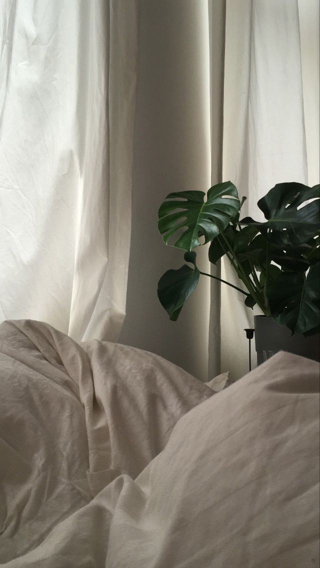 it’s been an hour ever since i’ve finished my work and now i’m lazing around in bed, but it’s still boring as ever. is there anything that i can spend my time on besides staring at the ceiling?