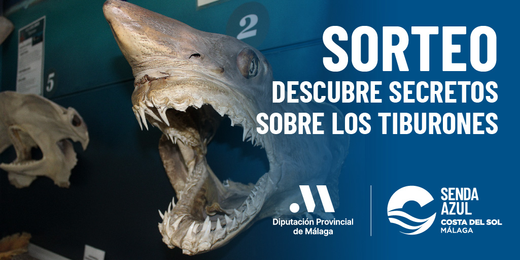 Senda Azul tweet media