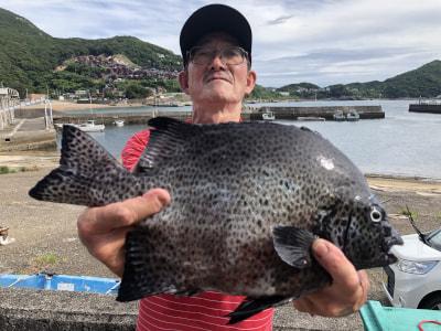 釣り大好き 最新釣果情報 和歌山県中部 上野渡船 玉城氏 石垣鯛38cm 磯釣りの釣果 底物仕掛けで石垣鯛が釣れた 他にルアーフィッシングで シイラ ヒット T Co 6wzg7yrmnp T Co Zmbdnuggqy Twitter 釣り大好き 最新釣果情報 和歌山県中部 上野渡船 玉城氏 石垣鯛38cm 磯釣りの釣果 底物仕掛けで石垣鯛が釣れた 他にルアーフィッシングで シイラ ヒット T Co 6wzg7yrmnp T Co Zmbdnuggqy Twitter